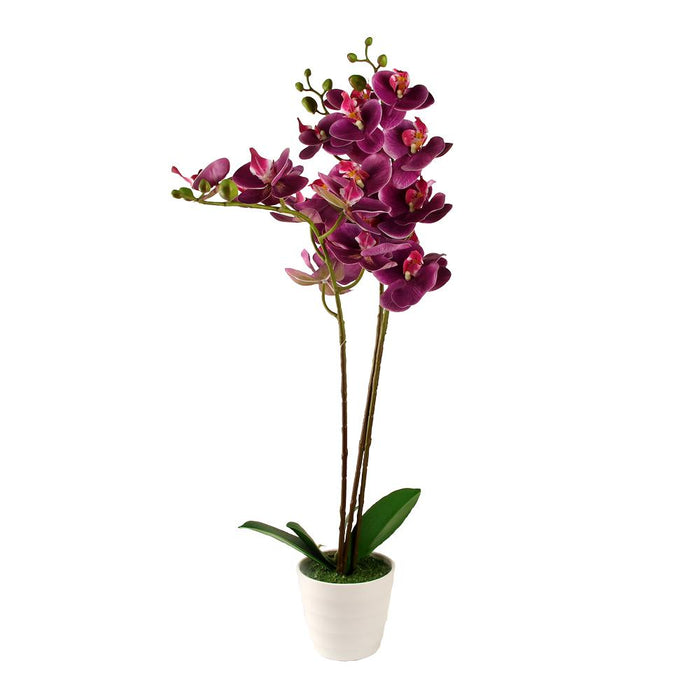 Artificial Orchid Blossom Tree Indoor Outdoor 55cm (1.8ft)