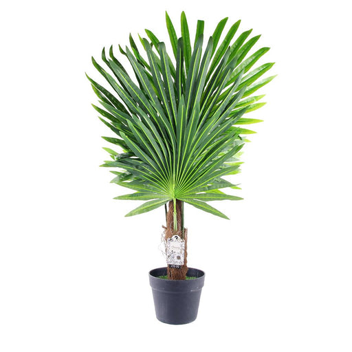 Artificial Fan Palm Tree Indoor & Outdoor 90cm