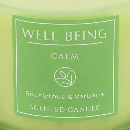 Well Being Calm Eucalyptus & Verbena Frosted Scented Candles 4oz