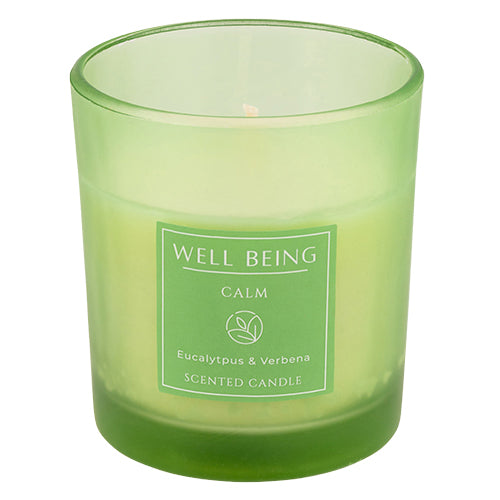 Well Being Calm Eucalyptus & Verbena Frosted Scented Candles 4oz