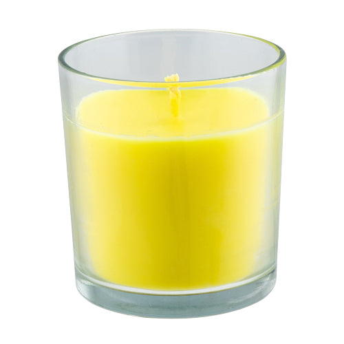 Citronella Outdoor Candle