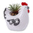 Artificial Succulent Decor Chicken Plant Pot 12cm